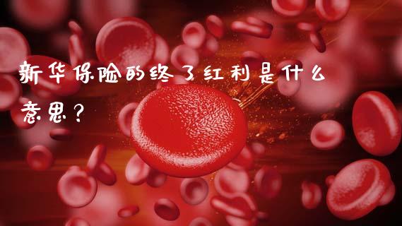 新华保险的终了红利是什么意思？_https://m.qmgjg.com_金融市场_第1张