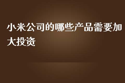 小米公司的哪些产品需要加大投资_https://m.qmgjg.com_金融市场_第1张