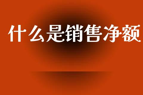 什么是销售净额_https://m.qmgjg.com_资金管理_第1张