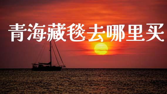 青海藏毯去哪里买_https://m.qmgjg.com_金融市场_第1张
