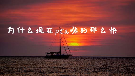 为什么现在pta涨的那么快_https://m.qmgjg.com_货币基金_第1张
