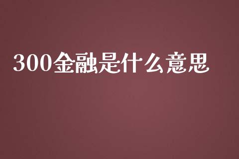 300金融是什么意思_https://m.qmgjg.com_金融市场_第1张