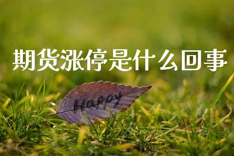 期货涨停是什么回事_资金管理_第1张_资金管理_投资银行_金融市场_货币基金 期货涨停是什么回事_https://m.qmgjg.com_资金管理_第1张