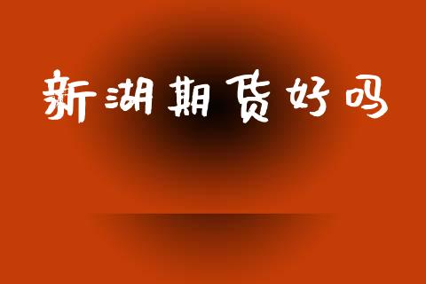 新湖期货好吗_https://m.qmgjg.com_投资银行_第1张