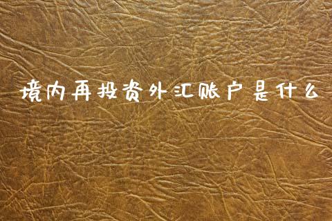 境内再投资外汇账户是什么_https://m.qmgjg.com_货币基金_第1张