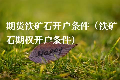期货铁矿石开户条件(铁矿石期权开户条件)_货币基金_第1张_资金管理_投资银行_金融市场_货币基金 期货铁矿石开户条件(铁矿石期权开户条件)_https://m.qmgjg.com_货币基金_第1张