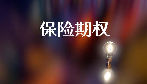 保险期权_https://m.qmgjg.com_资金管理_第1张