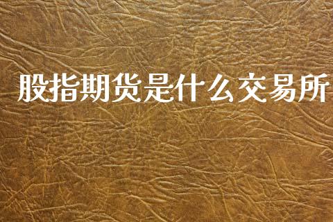 股指期货是什么交易所_https://m.qmgjg.com_货币基金_第1张