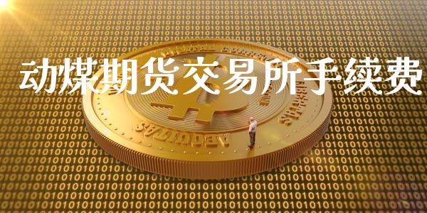 动煤期货交易所手续费_https://m.qmgjg.com_货币基金_第1张