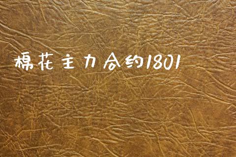 棉花主力合约1801_https://m.qmgjg.com_货币基金_第1张