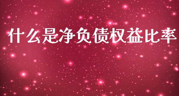 什么是净负债权益比率_https://m.qmgjg.com_资金管理_第1张