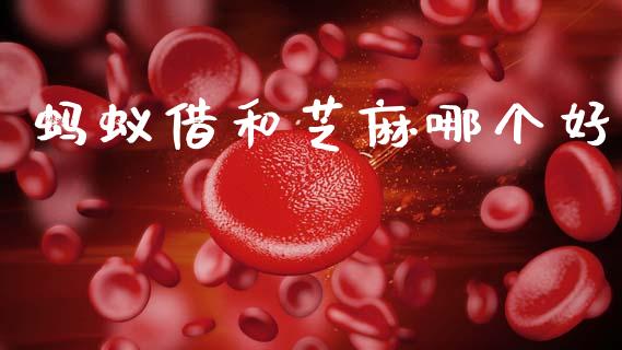 蚂蚁借和芝麻哪个好_https://m.qmgjg.com_货币基金_第1张