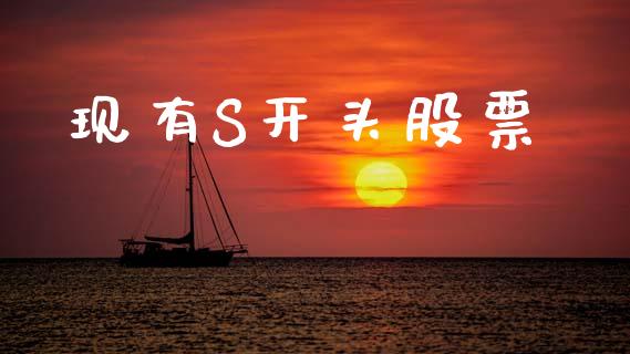 现有S开头股票_https://m.qmgjg.com_货币基金_第1张
