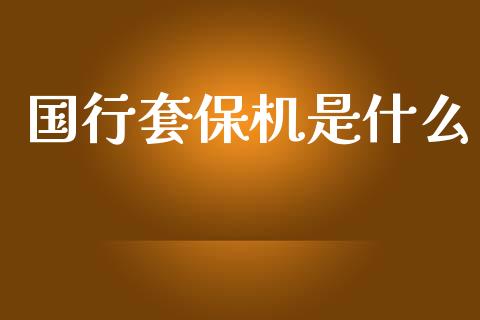 国行套保机是什么_https://m.qmgjg.com_货币基金_第1张