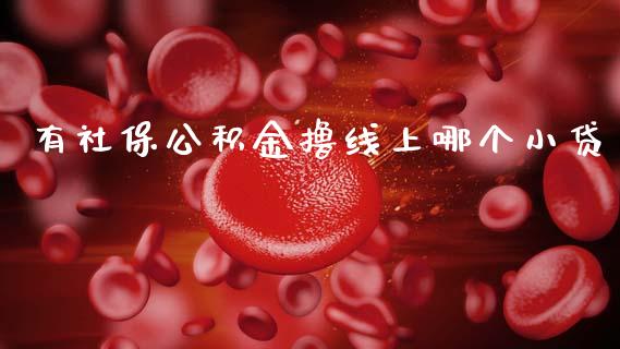有社保公积金撸线上哪个小贷_https://m.qmgjg.com_投资银行_第1张
