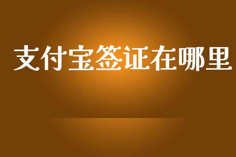 支付宝签证在哪里_https://m.qmgjg.com_投资银行_第1张