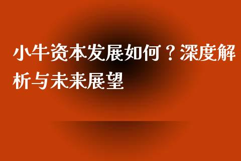 小牛资本发展如何？深度解析与未来展望_https://m.qmgjg.com_金融市场_第1张