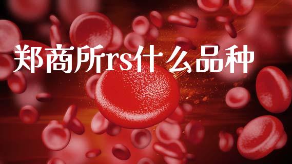 郑商所rs什么品种_资金管理_第1张_资金管理_投资银行_金融市场_货币基金 郑商所rs什么品种_https://m.qmgjg.com_资金管理_第1张