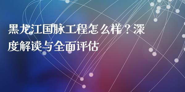 黑龙江国脉工程怎么样？深度解读与全面评估_https://m.qmgjg.com_资金管理_第1张
