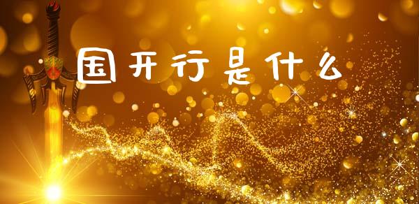 国开行是什么_https://m.qmgjg.com_资金管理_第1张