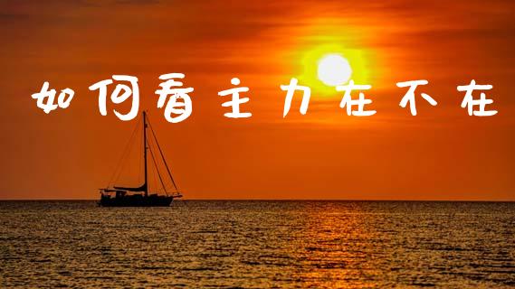 如何看主力在不在_https://m.qmgjg.com_投资银行_第1张