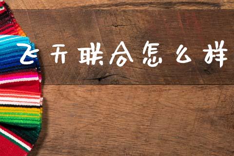 飞天联合怎么样_https://m.qmgjg.com_投资银行_第1张
