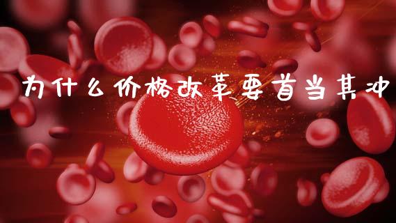 为什么价格改革要首当其冲_https://m.qmgjg.com_货币基金_第1张