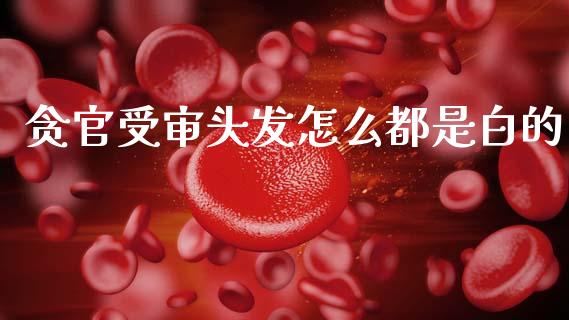 贪官受审头发怎么都是白的_https://m.qmgjg.com_投资银行_第1张