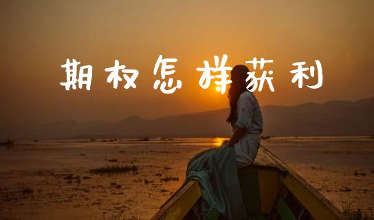 期权怎样获利_https://m.qmgjg.com_金融市场_第1张