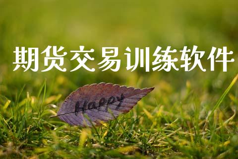 期货交易训练软件_https://m.qmgjg.com_金融市场_第1张