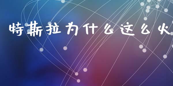 特斯拉为什么这么火_https://m.qmgjg.com_投资银行_第1张