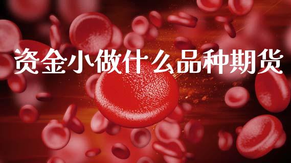 资金小做什么品种期货_https://m.qmgjg.com_投资银行_第1张