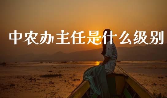中农办主任是什么级别_https://m.qmgjg.com_货币基金_第1张