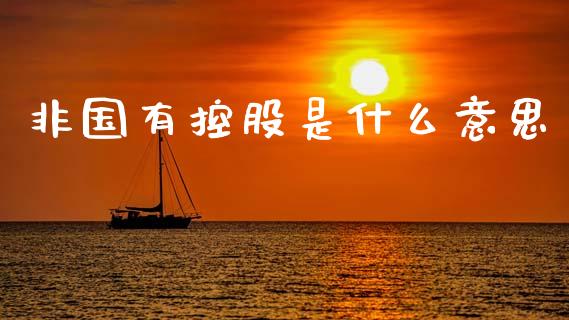 非国有控股是什么意思_https://m.qmgjg.com_资金管理_第1张