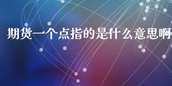 期货一个点指的是什么意思啊_https://m.qmgjg.com_货币基金_第1张