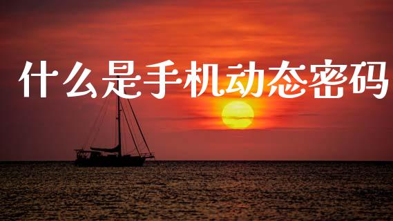 什么是手机动态密码_https://m.qmgjg.com_货币基金_第1张