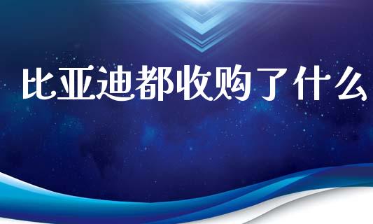 比亚迪都收购了什么_https://m.qmgjg.com_投资银行_第1张