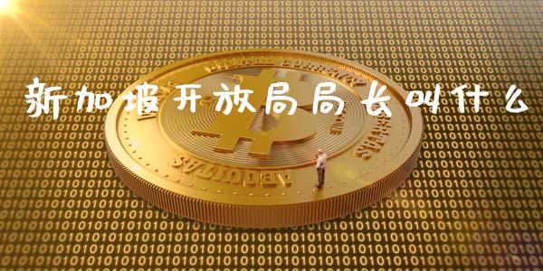 新加坡开放局局长叫什么_https://m.qmgjg.com_投资银行_第1张