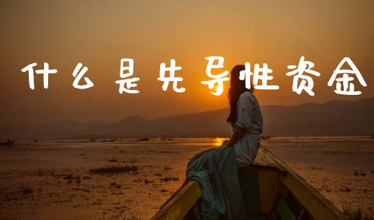 什么是先导性资金_https://m.qmgjg.com_资金管理_第1张
