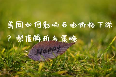 美国如何影响石油价格下跌？深度解析与策略_https://m.qmgjg.com_资金管理_第1张