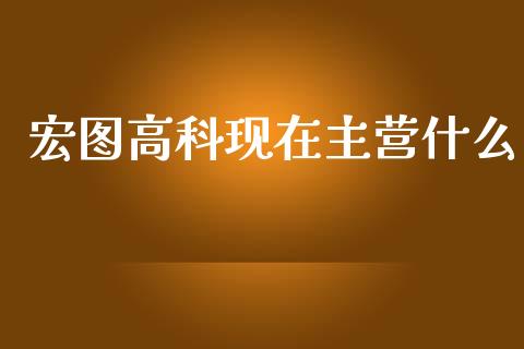 宏图高科现在主营什么_https://m.qmgjg.com_资金管理_第1张