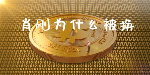 肖刚为什么被换_https://m.qmgjg.com_资金管理_第1张
