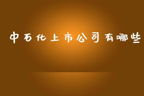 中石化上市公司有哪些_https://m.qmgjg.com_金融市场_第1张
