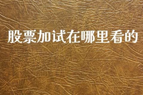股票加试在哪里看的_https://m.qmgjg.com_金融市场_第1张