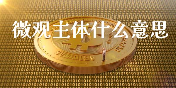 微观主体什么意思_https://m.qmgjg.com_金融市场_第1张