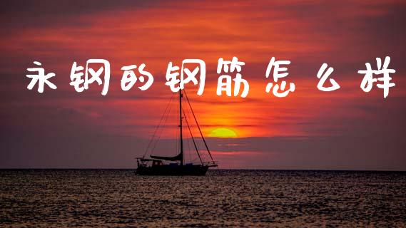 永钢的钢筋怎么样_https://m.qmgjg.com_货币基金_第1张