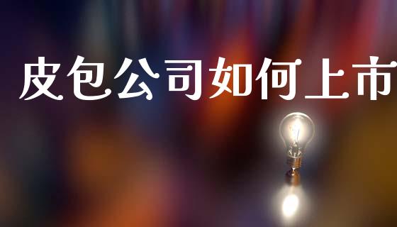 皮包公司如何上市_https://m.qmgjg.com_资金管理_第1张