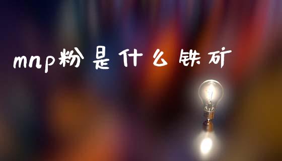 mnp粉是什么铁矿_https://m.qmgjg.com_金融市场_第1张