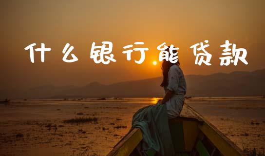 什么银行能贷款_https://m.qmgjg.com_货币基金_第1张