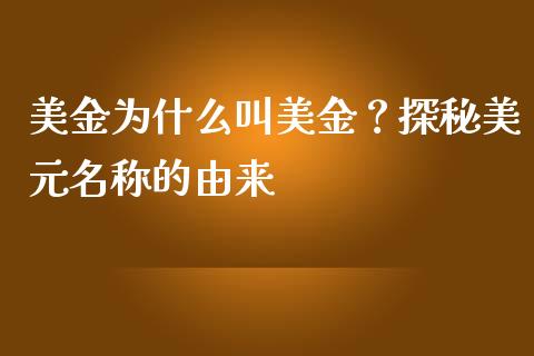 美金为什么叫美金？探秘美元名称的由来_https://m.qmgjg.com_货币基金_第1张